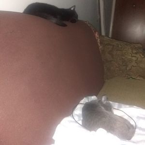 Meet your Posher, Ashlee